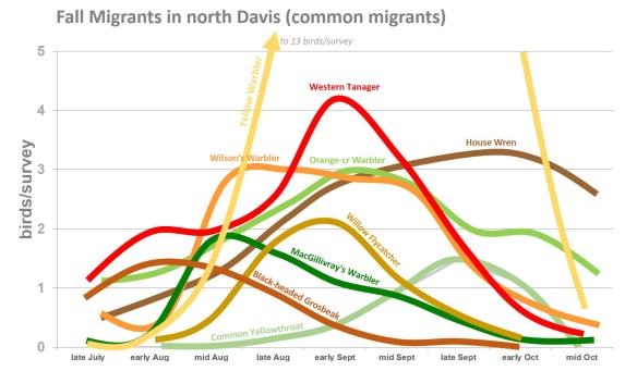 DavisMigrants1