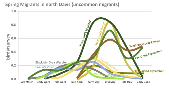 DavisMigrants2spring