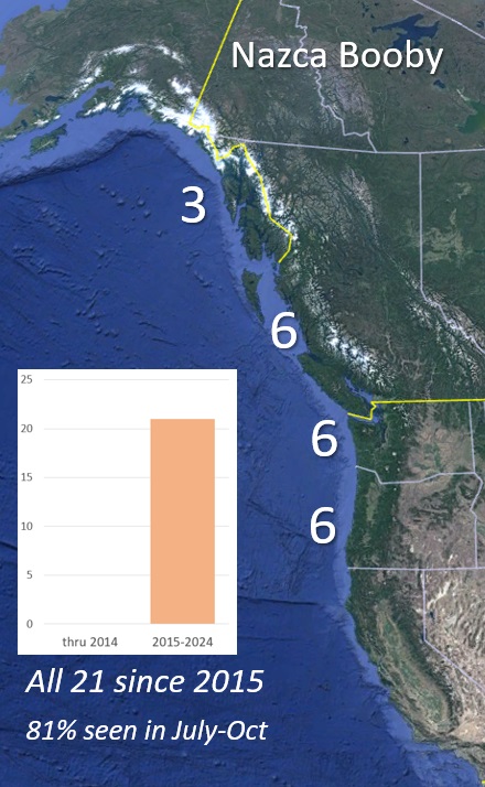 Nazca Booby in the PNW graph