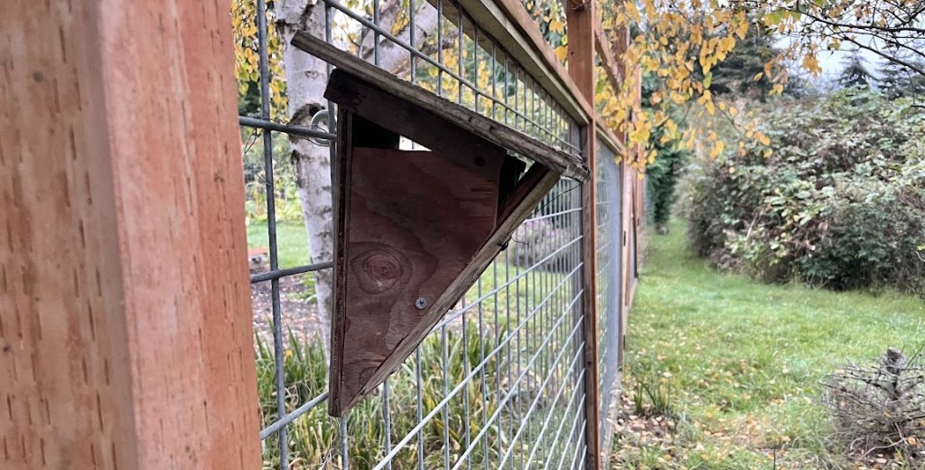 My triangle shaped wren box.